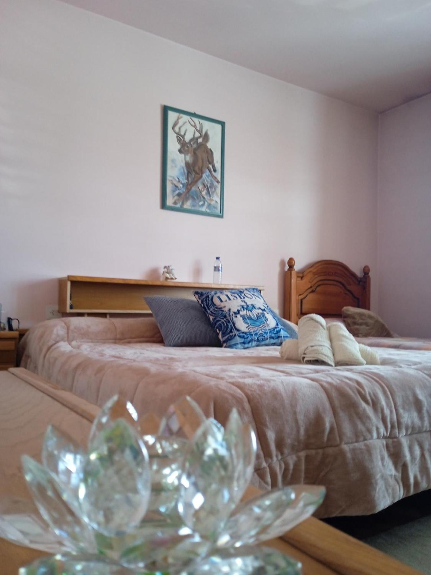A Casa De Abelleira Ponteareas Bed and Breakfast Buitenkant foto